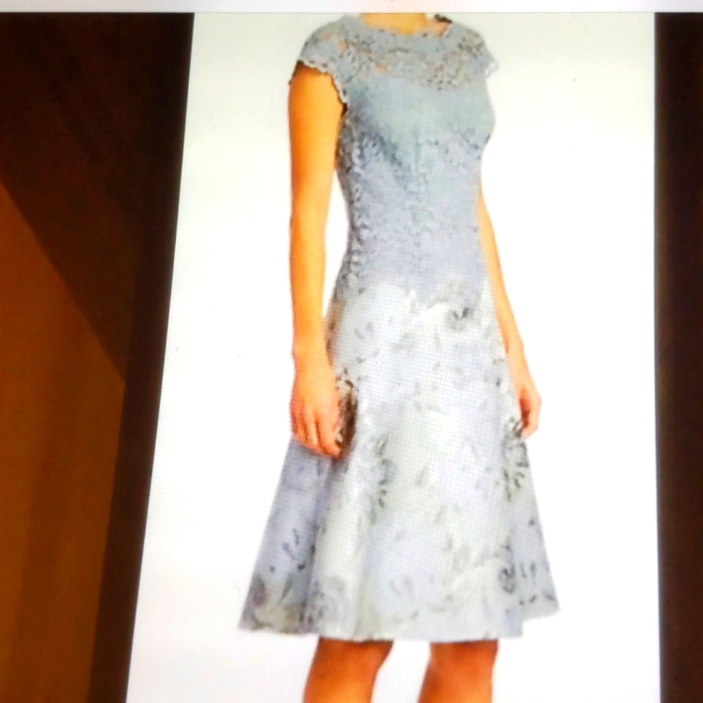 Teri Jon by Rickie Freeman cocktail dress